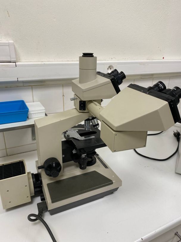 Microscope de laboratoire d'occasion BH-2 Olympus - Référence P2212-1958, avec 4 lentilles incluses_9