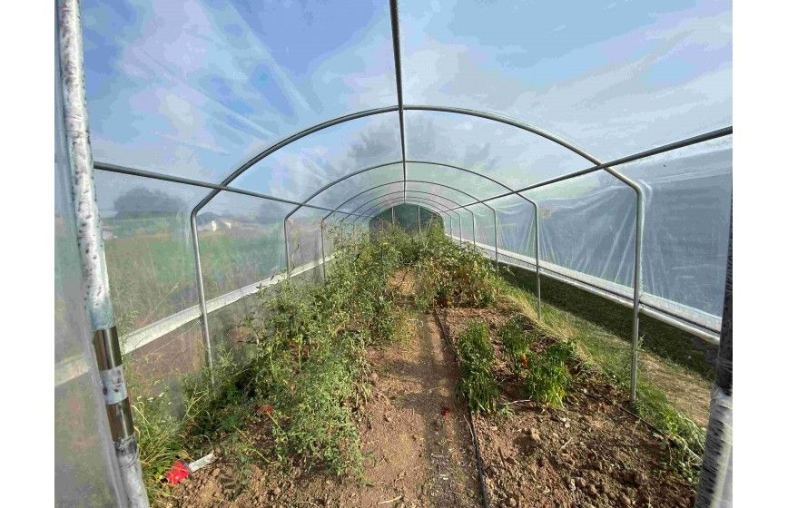 Serre tunnel pied droit pour une meilleure optimisation d'accès aux cultures  - 4 SAISONS_9
