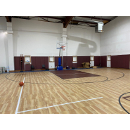 Dalle haut de gamme personnalisable pour gymnase intérieur professionnel - PARQUET PRO_9