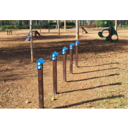 Parcours agility personnalisé - 8 obstacles pour chiens - Développe agilité et psychomotricité_9