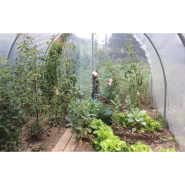 Serre de jardin simple, fonctionnelle et pratique pour tous les jardins en gardant une hauteur conséquente- ESSENTIELLE_9