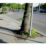 Eco-Dalle Extérieure emboitable_9