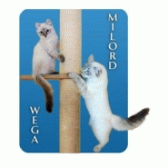 Magnet promotionnel en relief avec fabrication française et options personnalisées