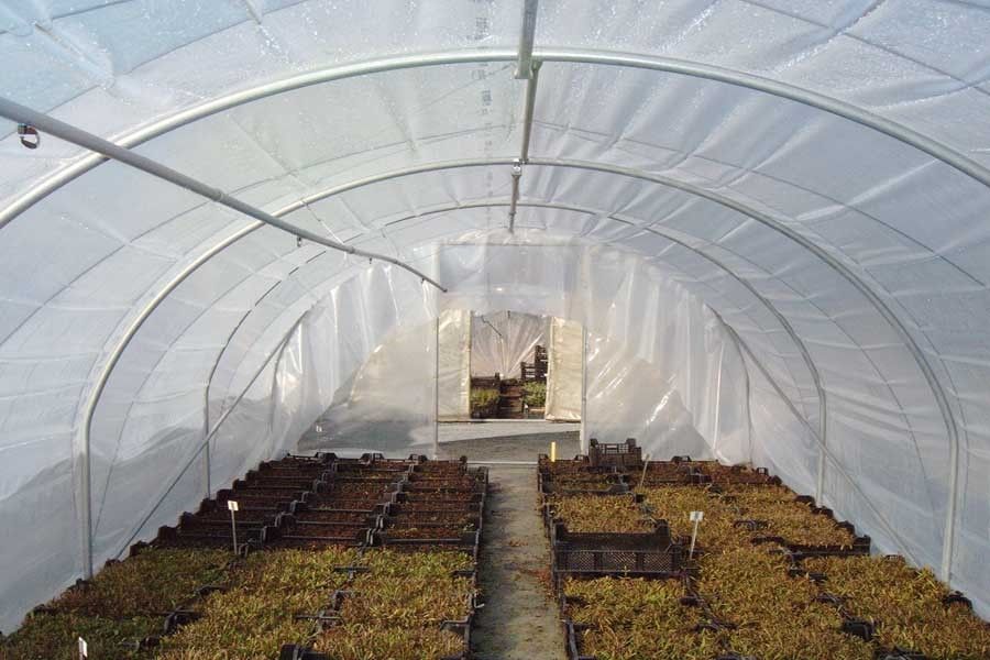 Serre tunnel à pied droit destinée aux horticulteurs et pépiniéristes - Longueur 6m - Val de Loire Pro 4 m_1