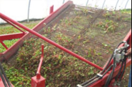 Récolteuse automotrice ARR - Autran & Mab - Largeur de travail de 1 à 1,60 m, adaptée aux résidus de culture_1