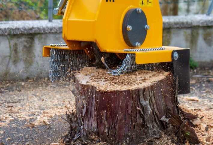 Rogneuse de souche hydraulique avec lame en carbone_1