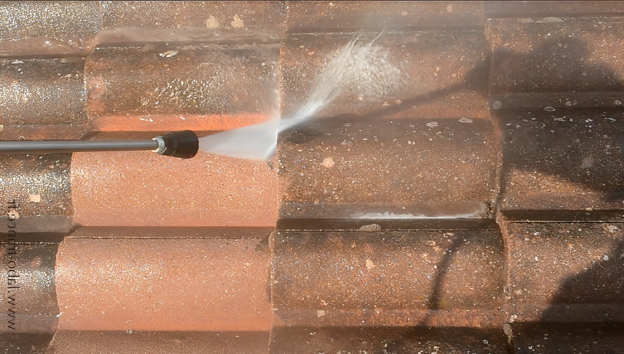 Nettoyants et anti-mousse – toit mouss pro – Détergent, Fongicide – 3830_1