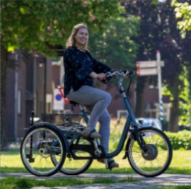 Tricycle Maxi Van Raam - Tricycle Individuel avec Options Personnalisables_1