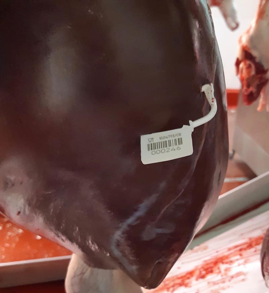 Scellé de sécurité en plastique type cadenas - Hand-Lok - Precintia, polypropylène, marquage laser ou jet d'encre_1