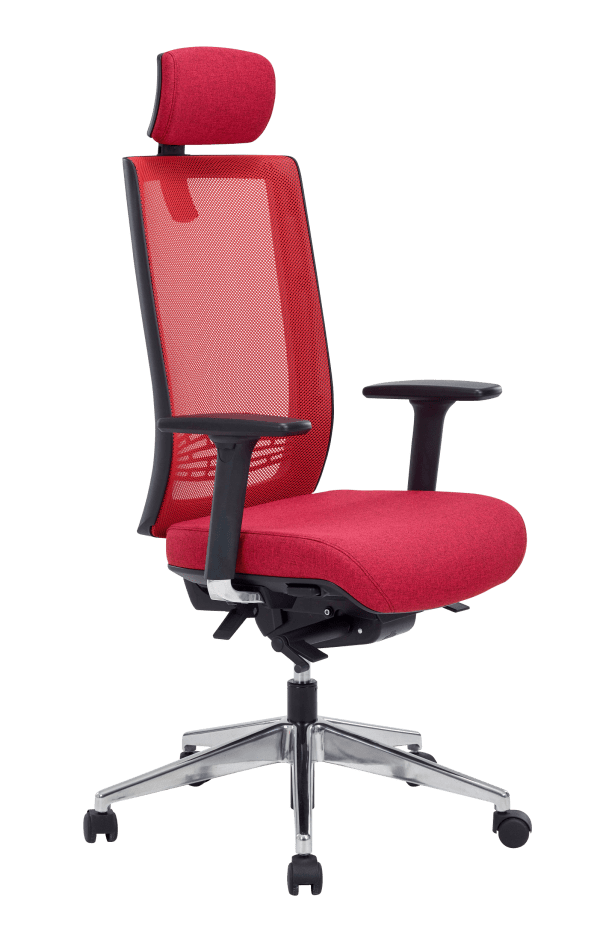 Siège Yvan Sitek - Réf. 7933 - Fauteuil de bureau synchrone 5 positions avec support lombaire réglable_1
