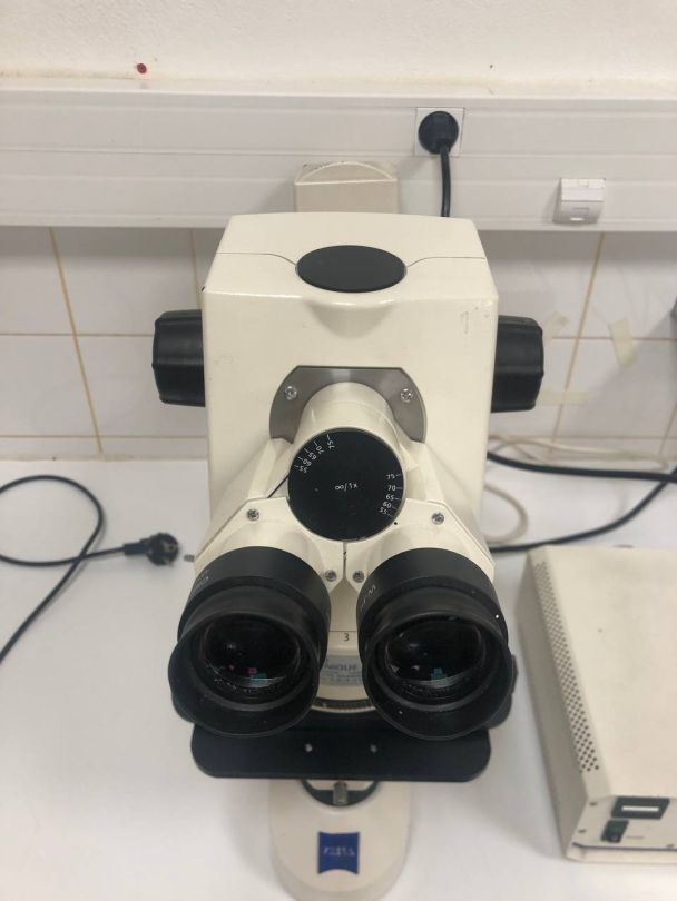 Microscope à immersion d'occasion de laboratoire médical - Axioskop 40 Carl Zeiss - configuration complète avec 4 lentilles_1