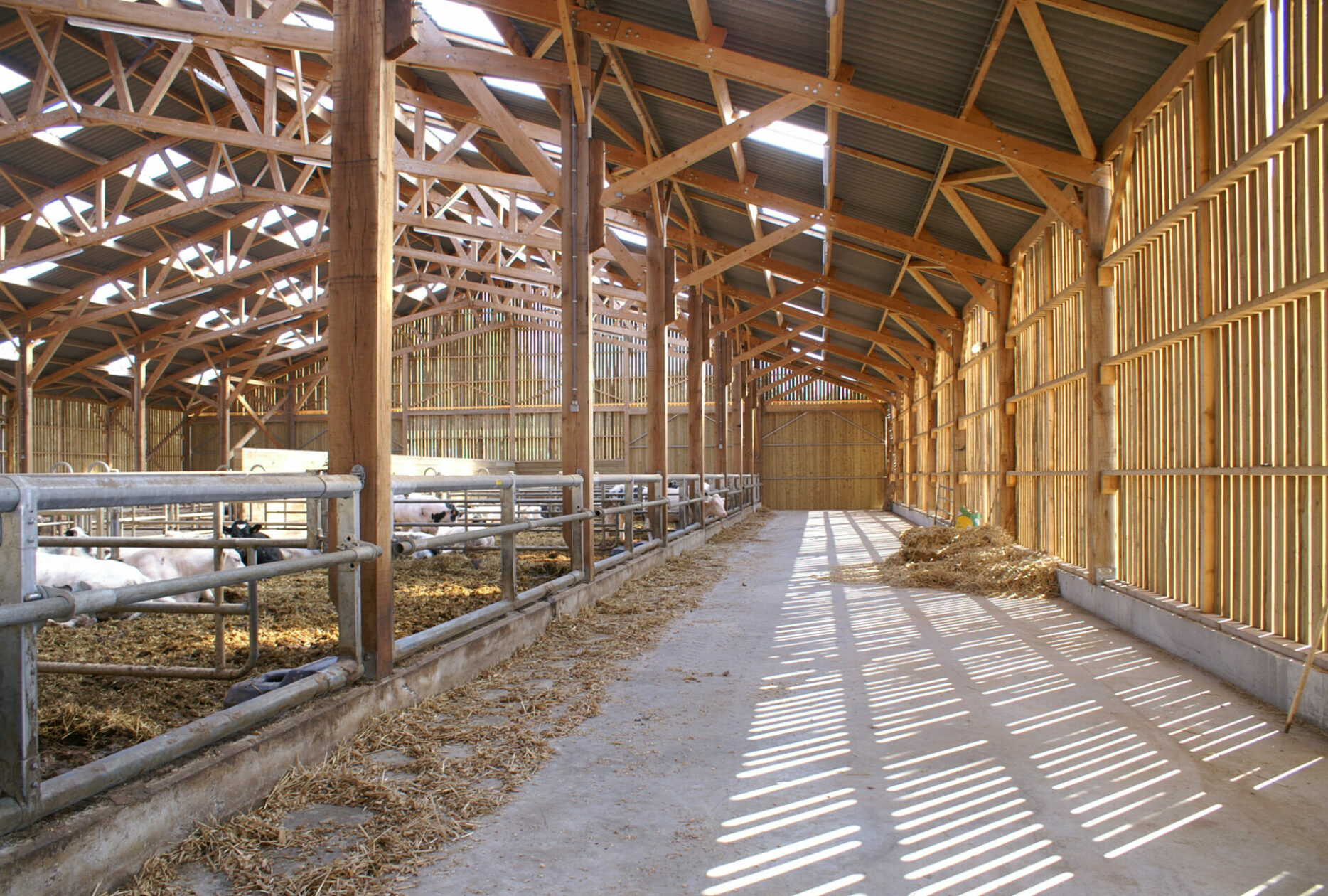 Bâtiment pour vaches allaitantes, sur mesure en bois - Stabulation libre, en aire paillée, en caillebotis, ou mixte_1