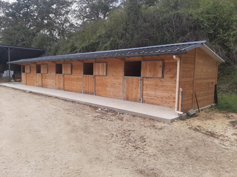 5 boxes en ligne en bois Douglas - BOX028 - Abri spacieux et robuste pour chevaux_1
