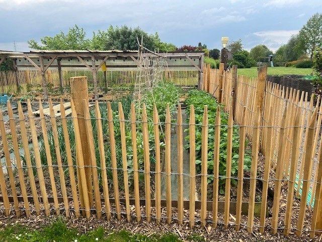 Ganivelle en robinier scié - 120 cm - Imputrescible, 10m de long, espacement 5-6 cm_1