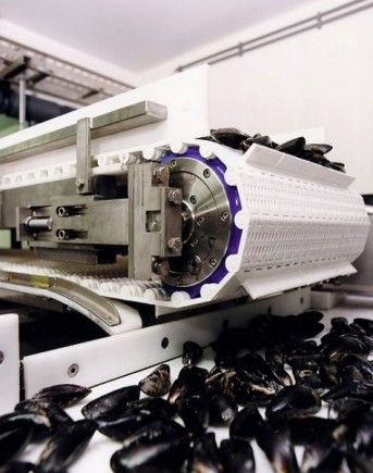 TM 500 - Tambours moteurs Powertrans - Étanchéité IP66, vitesse 0.80ms à 3.2ms, puissance 11Kw à 30Kw_0