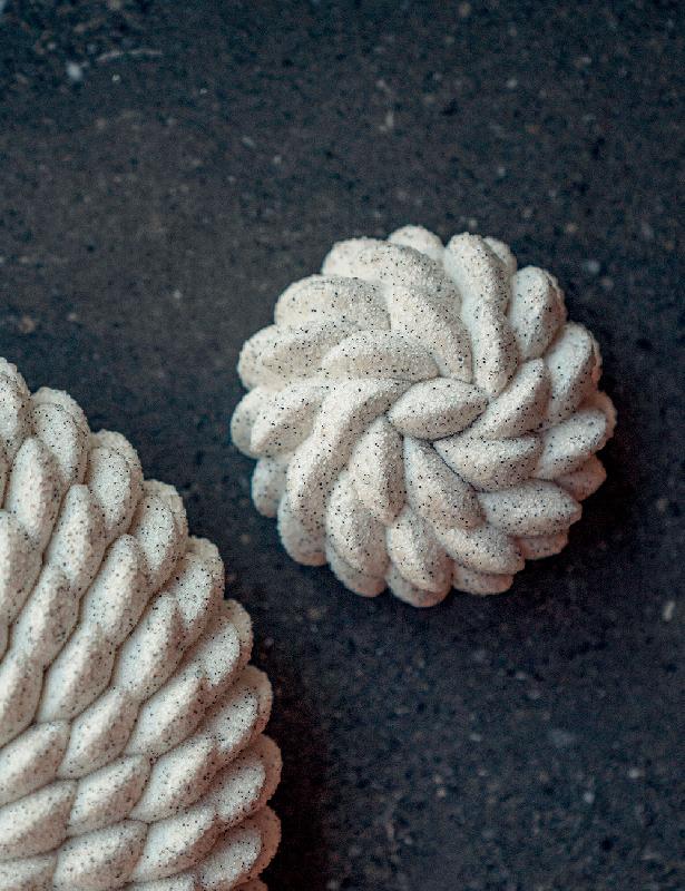 Façon Saint Honoré - Moule en silicone Cédric Grolet Pavoni Italia - 12 empreintes_1