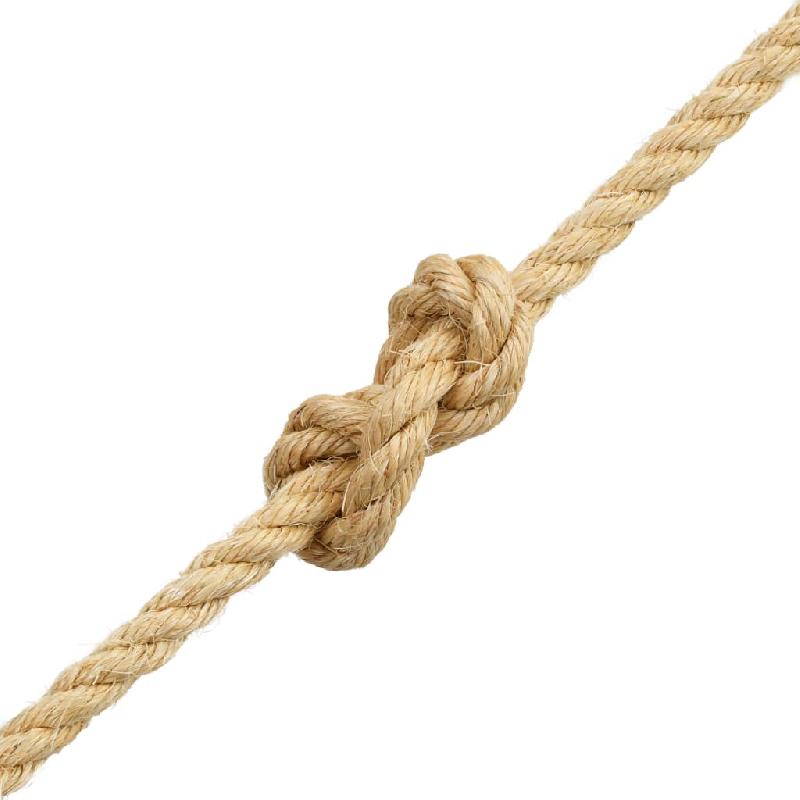 Vidaxl corde 100 % en sisal 16 mm 100 m 144806_1