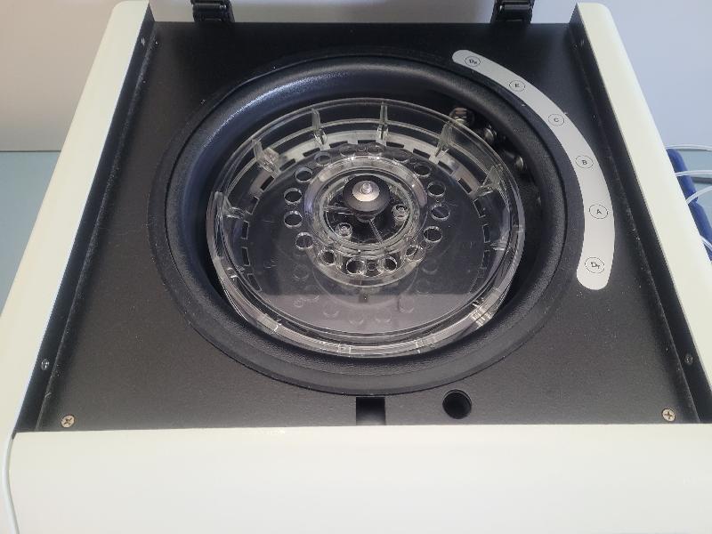 Biomérieux 29551 PREVI Color GRAM_1