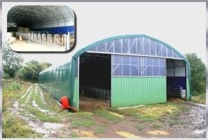 Tunnel d'élevage de 12.80m de large pour tout type de production_1