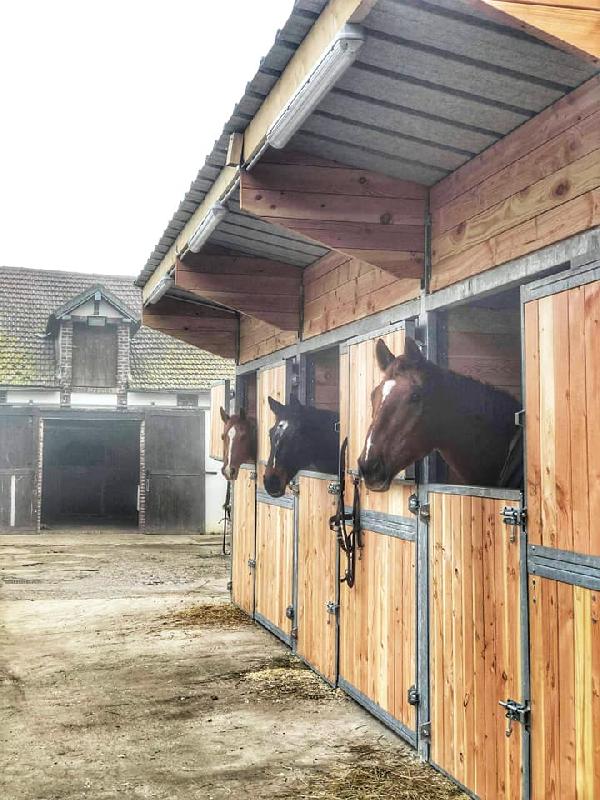 Box avec ouverture intégrale - BOX037 - LCI Cheval - Bois Douglas 48mm - Acier Galvanisé 12x12cm - Toiture Bac Acier_1