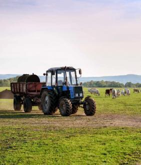 Cuve de transport eau : 3350 litres - grise - 308796_1