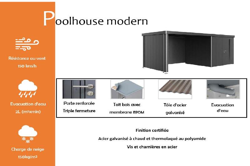 Pool house modern - 292 / 236_1