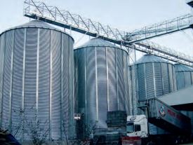 Cellule petit fermier pour le stockage des céréales - SILESFOR_1