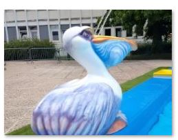 Pataugeoire évolutive - Démontable et modulable, profondeur 20 cm, jeux aquatiques optionnels_1