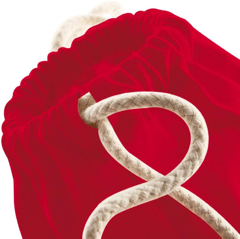 Sac publicitaire Gymsac bio Earthaware - Réf: W810 - 100% coton biologique, fermeture par gros cordon, marque Westford Mill_1