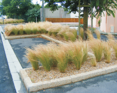 Bordures de voirie - t2 en 0,50 ml celtys_1