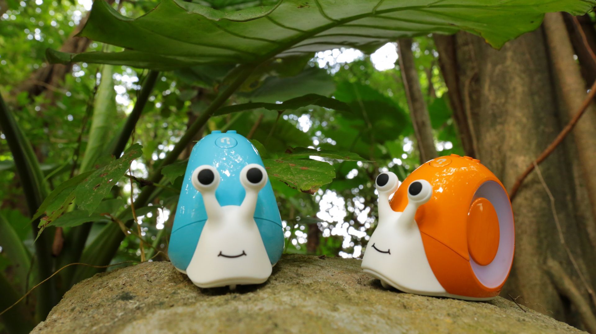 Robot pedagogique programmable - qobo_2