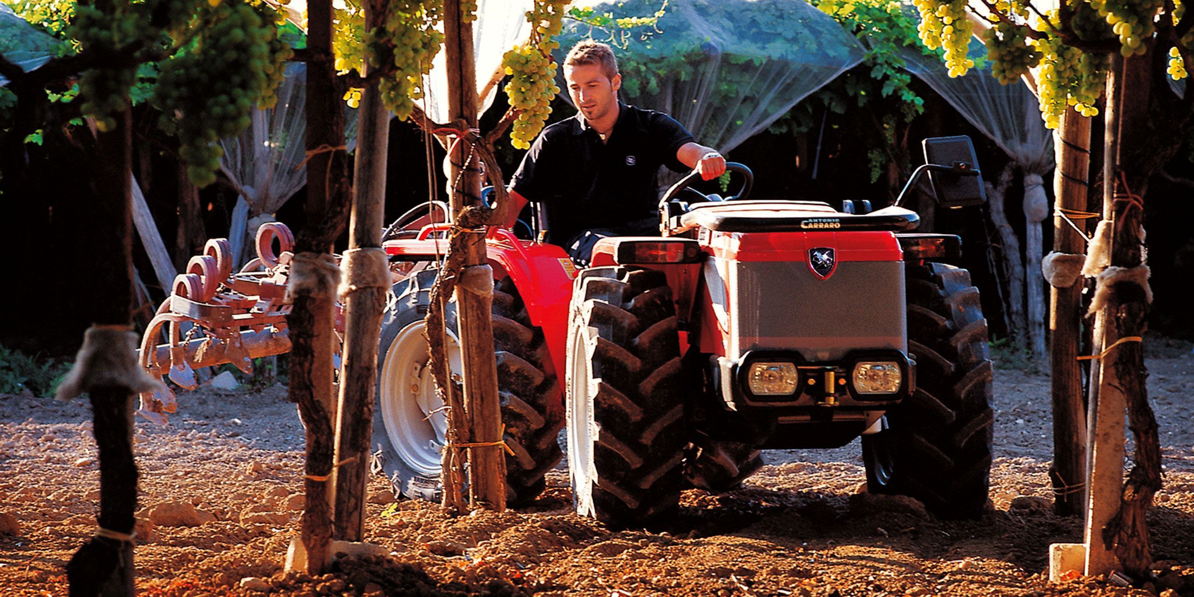 Tracteur Supertigre 5800 avec châssis oscillant ACTIO™