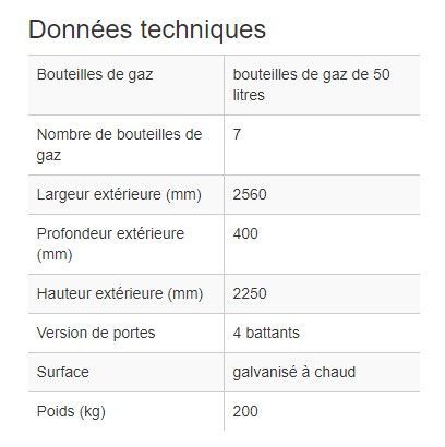 116955W - Armoire pour 7 bouteilles de gaz de 50L - acier galvanisé et antivol_1