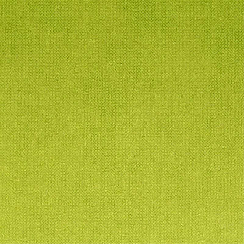 Nappe pré-découpée intissé vert lime 42 formats 1,20x50,4m - par 1_1