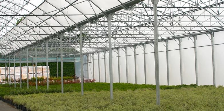 Bâche spécial pépinière - largeur 11,20m - 180µ - film thermique 5 couches pour pépiniéristes_1