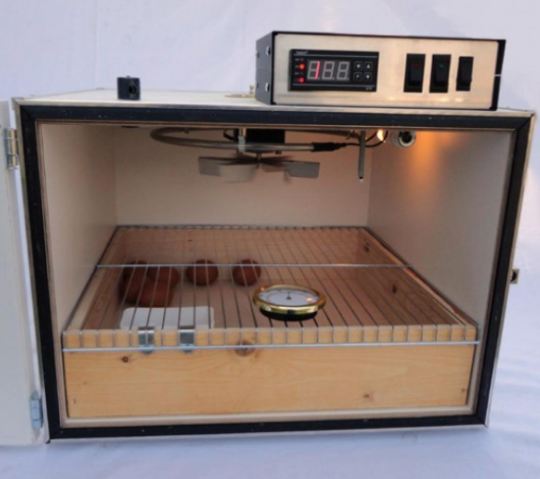 Éclosoir pour les 3 derniers jours d'un cycle d'élevage - Capacité 80 œufs - Réf. BDM04-ET_1