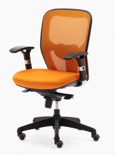 Fauteuil de bureau BATZ - Résille couleur - Soutien lombaire réglable - Référence 6392 FR206_1