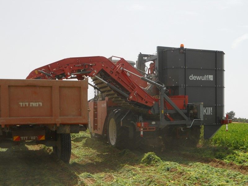 Arracheuse par préhension ZKIIISE - Dewulf BV - productivité 4 à 5 ha/j - largeur 4127 mm - 3 rangs avec tapis à tétines_2