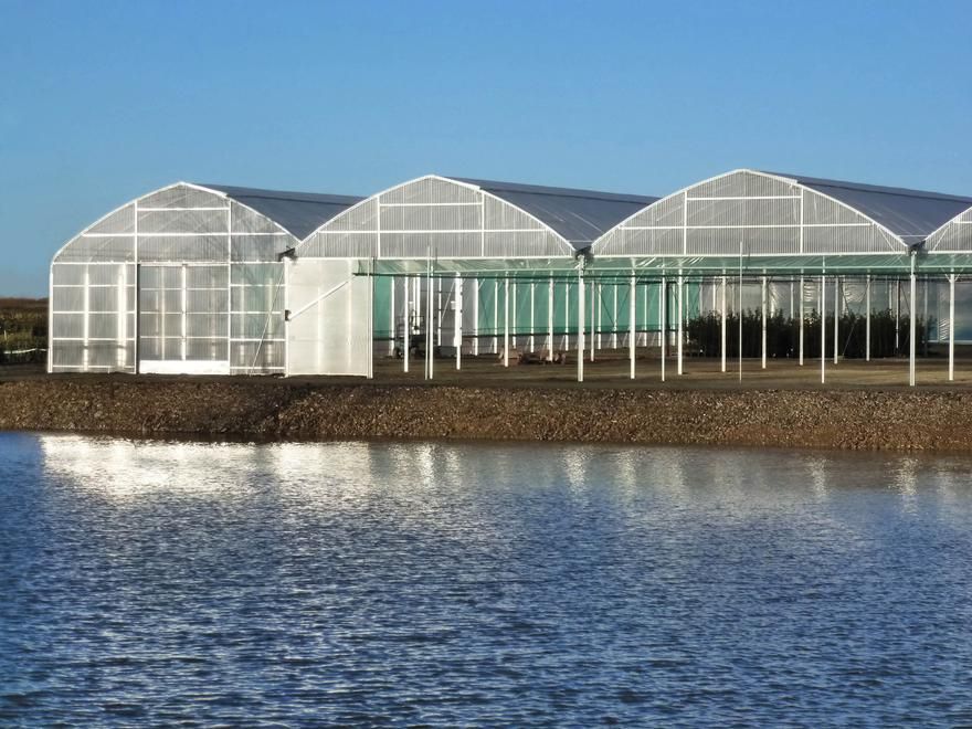 Abri agricole pour cultures maraîchères avec grande largeur
