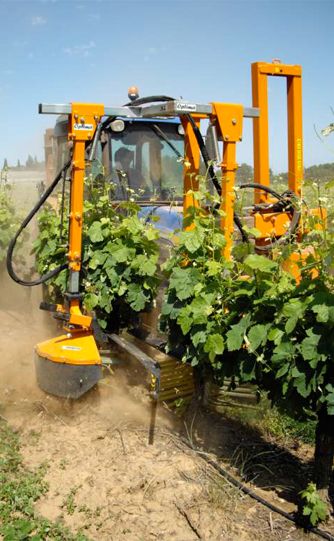 Srb 22-350 - épampreuse mécanique Provitis - hauteur d'épamprage 363mm, cadre enjambeur avec deux têtes d'épamprage_1