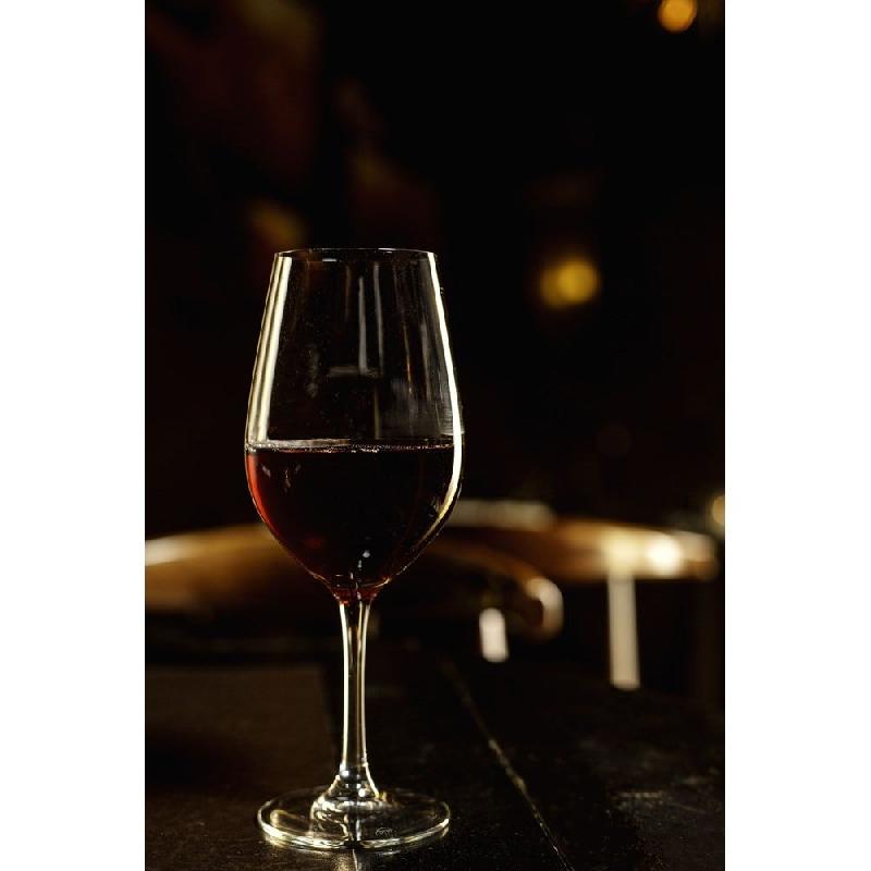 Verre à pied gamme Malbec 47 cl Ø8,6 x 22,2 cm verre trempé - par 6_1