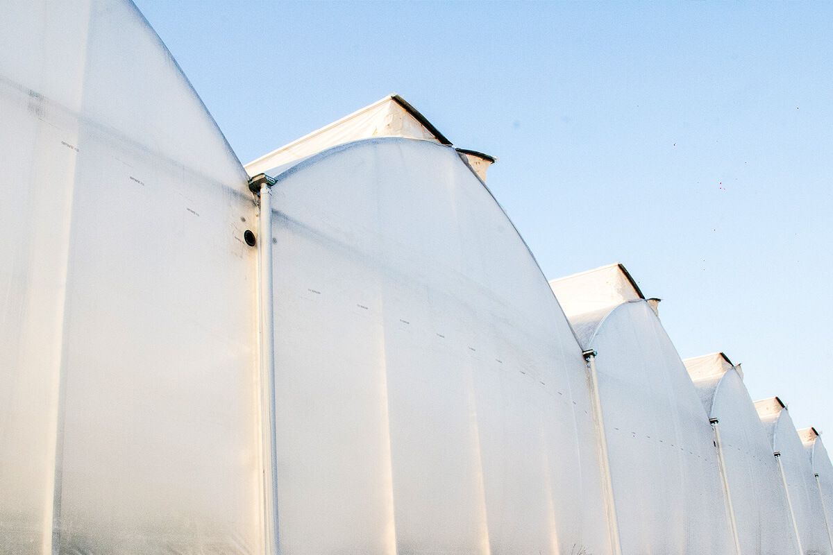 Serre chapelle - ulma agrícola - largeur 9.6 à 14.4 m_1