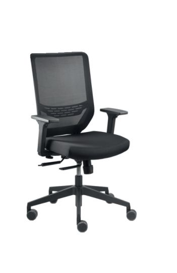 Fauteuil ergonomique TO-SYNC Dauphin - dossier résille haut, soutien lombaire réglable, mécanisme synchrone_1