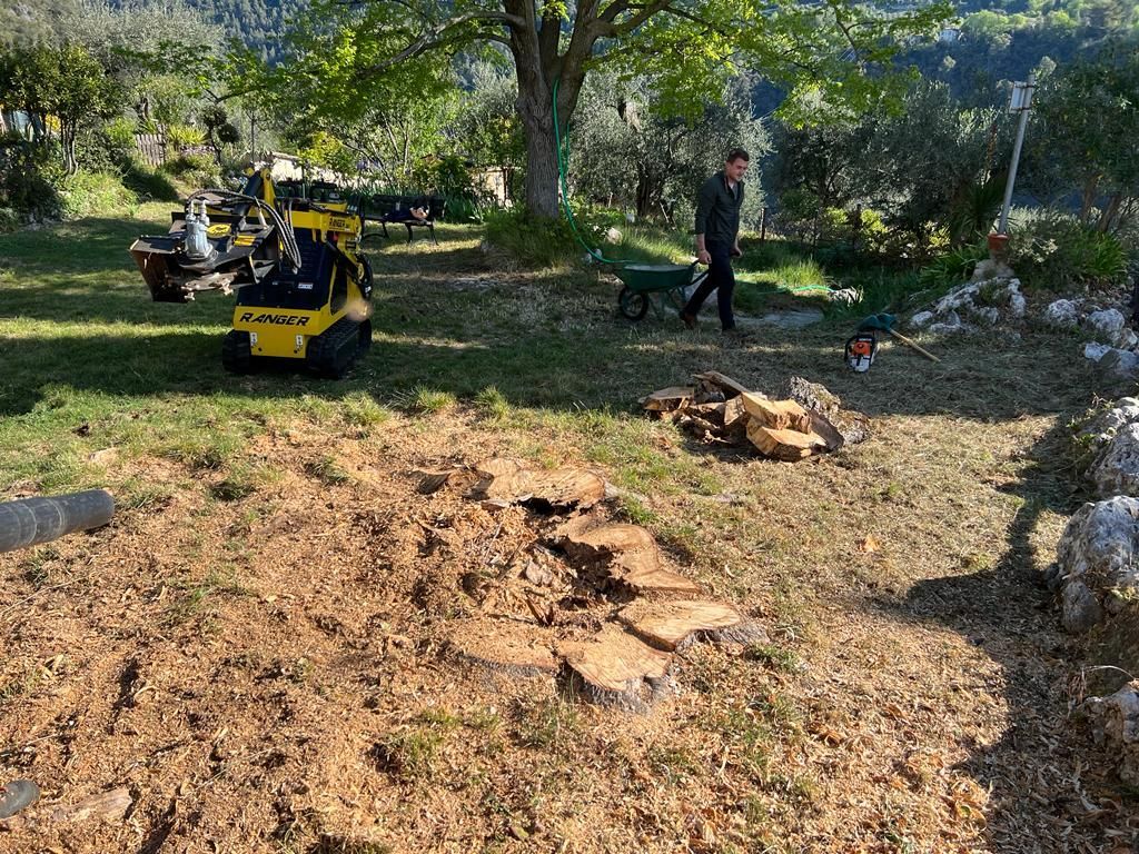 Équipement de rognage de souches avec dents au carbure Greenteeth