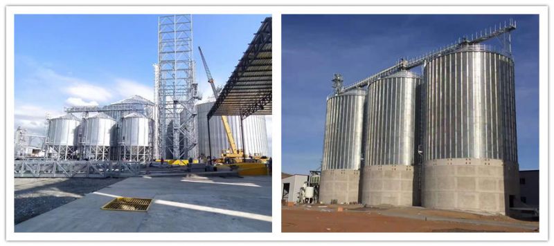 Silo de stockage de céréales en acier - 5 t à 16 000 t_1