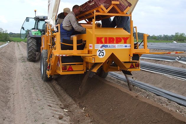 Récolteuse d'asperge RGA - Kirpy - capacité de récolte 2 ha/jour_1
