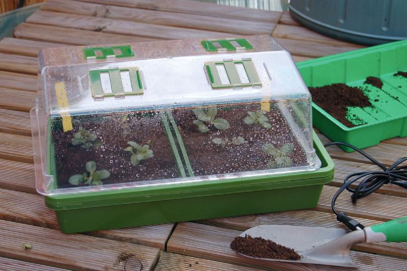 Mini serre chauffante pour semis - 'Heating Grow' - idéale pour vos plantations_1
