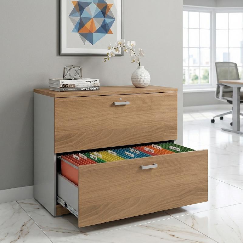 Classeur de Bureau Compact : Rangement Professionnel 2 Tiroirs pour Dossiers Suspendus - 60, Gris aluminium, Acacia foncé_1