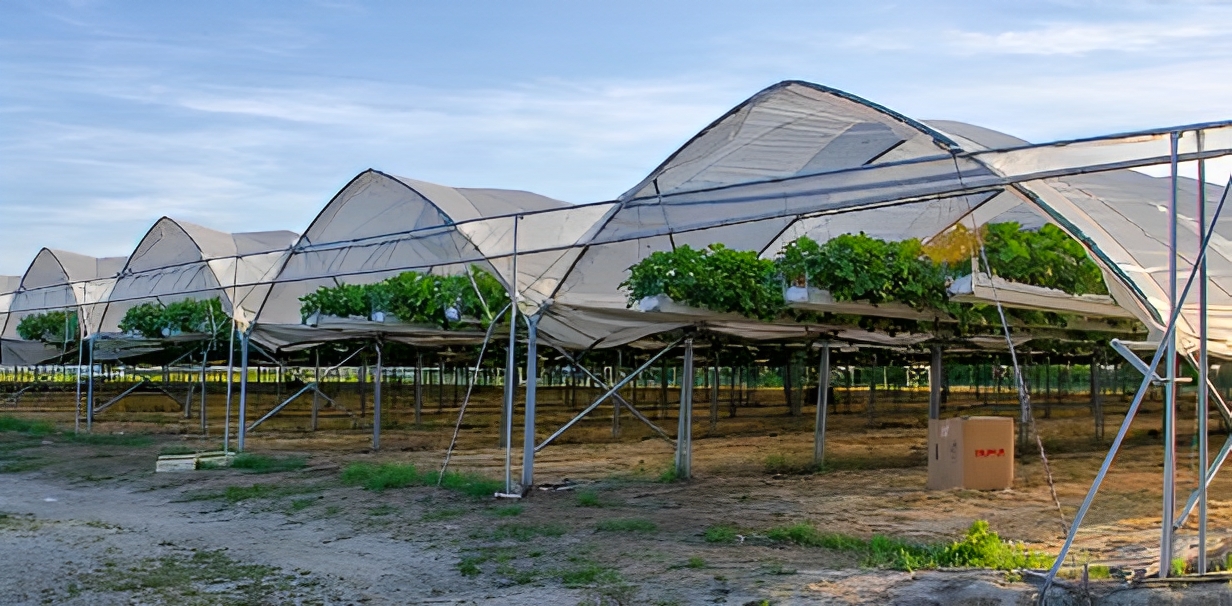 Serre tunnel - barre - 5/6 m_1