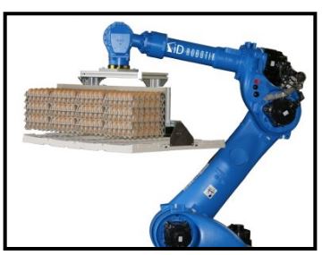 Palettiseurs et dépalettiseurs - Charges légères à lourdes - ID ROBOTIK_1